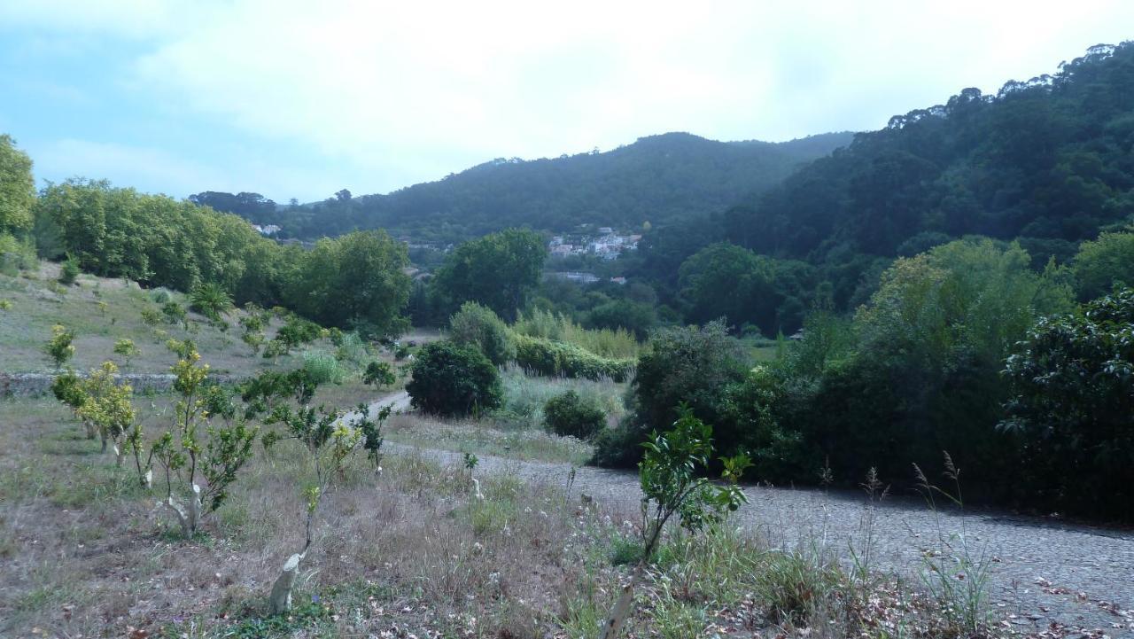 Ribeira Dos Marinheiros Azul Apartment Sintra Bagian luar foto